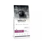 Molly Düşük Tahıllı Hypoallergenic Kuzulu Ve Yaban Mersinli Orta Ve Büyük Irk Yavru Köpek Maması 15 Kg