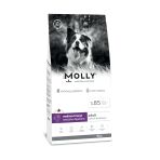 Molly Hipoalerjenik Düşük Tahıllı Kuzu Etli Ve Yaban Mersinli Orta Ve Büyük Irk Yetişkin Köpek Maması 15 Kg