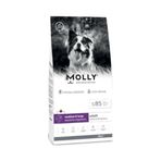 Molly Hipoalerjenik Kuzulu Yaban Mersinli Orta ve Büyük Irk Yetişkin Köpek Maması 15 Kg