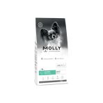 Molly Hipoalerjenik Somon Küçük Irk Yetişkin Köpek Maması 2Kg