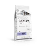 Molly Hipoalerjenik Somonlu Düşük Tahıllı 2 kg Yavru Kedi Maması