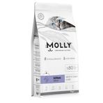 Molly Hipoalerjenik Somonlu Düşük Tahıllı 2 kg Yavru Kedi Maması