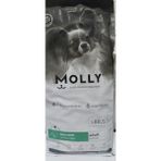 Molly Hypoallergenic Derma Care Küçük Irk Somonlu Yetişkin Köpek Maması 2 kg - 1