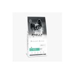 Molly Hypoallergenic Derma Care Küçük Irk Somonlu Yetişkin Köpek Maması 2 kg