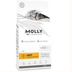 Molly Hypoallergenic Hairball 2 kg Düşük Tahıllı Tavuklu ve Hamsili Yetişkin Kuru Kedi Maması