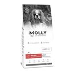 Molly Hypoallergenic Kuzu Etli Küçük Irk 8 kg Yavru Kuru Köpek Maması