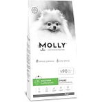 Molly Hypoallergenic Kuzu Etli Mini Irk Yavru 2 Kg