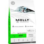 Molly Kısırlaştırılmış Sterilised Somonlu 2 kg Kedi Maması