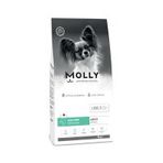 Molly Küçük Irk Hipoalerjenik Somonlu 8 kg Yetişkin Köpek Maması