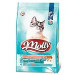 Molly Light Somonlu 15 kg Kısırlaştırılmış Tüm Irklar İçin Yetişkin Kuru Kedi Maması