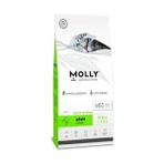 Molly Light ve Sterilised Somonlu 2 kg Kısır Kedi Maması
