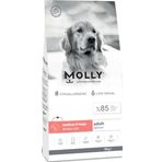 Molly Medium Adult Derma Care 15 kg Somonlu Orta ve Büyük Irk Yetişkin Köpek Maması