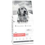 Molly Medium Adult Derma Care 2 kg Somonlu Orta ve Büyük Irk Yetişkin Köpek Maması