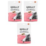 Molly Meow Moments Skin & Coat Deri ve Tüy Bakımı Kedi Ödül Maması 60 Gr. X 3 Adet