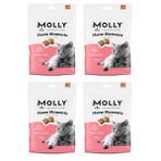 Molly Meow Moments Skin & Coat Deri ve Tüy Bakımı Kedi Ödül Maması 60 Gr. X 4 Adet