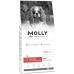 Molly Mini Adult 8 kg Kuzu Etli & Yaban Mersinli Küçük Irk Yetişkin Köpek Maması