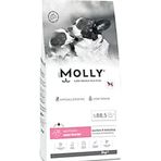 Molly Mini Starter 2 kg Tavuklu ve Yaban Mersinli Anne Yavru Köpek Maması