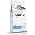 Molly Tavuklu Yavru Kedi Maması 2 kg Hipoalerjenik Düşük Tahıllı Karışık Tat