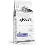 MOLLY YAVRU KEDİ MAMASI SOMONLU 2KG