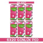 Molped Her Gün Ferahlık 20’li Günlük Ped x 6 Adet