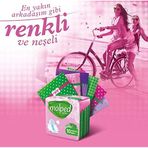 Molped Normal Günlük Ped (1 X 10 Adet)