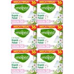 Molped Pure & Soft Mega Fırsat Uzun 216 Adet Hijyenik Ped