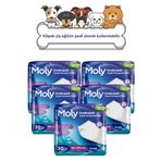 Moly Köpek Çiş Eğitim Pedi 150'LI