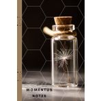 Momentus Notes: Dandelion Petal In A Glass Jar Notebook (Handbook): Unlined Cream Interior featuring Floating Dandelion Petals on odd pages