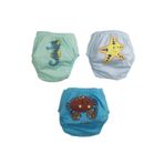 Momslab Erkek Bebek Alıştırma Külodu 3'lü
