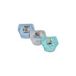 Momslab Storybaby - 3lü Erkek Alıştırma Külodu - Ayılı Set