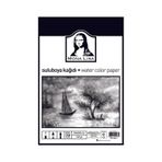 Monalisa 35x50 160 gr 10 Yaprak Suluboya Kağıdı
