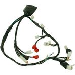 Mondial Sfc Elektrik Tesisatı Sfc-Bx Sfc-Sx Sfc-Ex Orj