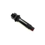 monero Cf Moto 250 Nk 250 Sr Ateşleme Bobini RALLY01510