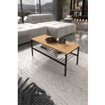 moniev 2 Raflı Metal Orta Sehpa Dekoratif Sehpa Lüx Metal Raflı Sehpa İki Katlı Salon Sehpa