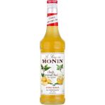 Monin 700 ml Bulutlu Limonata Bazı