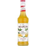 Monin Cloudy Lemonade Posalı Limonata 700 ml