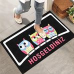 Monnhein Kapı Önü Paspası - Modern ve Şık Kapı Paspası | Ev, Ofis ve Dış Mekân Kullanımı İçin (Baykuşlar) 45x65