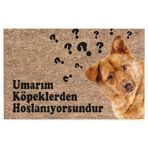 Monnhein Kedi Köpek Komik Tasarımlı Dekoratif Kapı önü Paspas, Dış Mekan/Ev İçi/Banyo/Mutfak/Yatak Odası/Giriş Paspasları (Umarım Köpeklerden Hoşlanıyorsundur, 40x60)