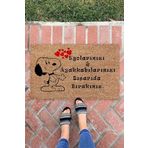 Monnhein Snoopy Egolar Kapı Önü Paspası Dekoratif Kapı Paspası Dış Mekan Paspas Ev Içi Paspası 45x70cm