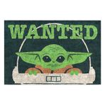 Monnhein Tasarımlı Dekoratif Kapı önü Paspas, Dış Mekan/Ev İçi/Banyo/Mutfak/Yatak Odası/Giriş Paspasları (Baby Yoda, 45X70)