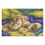 Monnhein Tasarımlı Dekoratif Kapı önü Paspas, Dış Mekan/Ev İçi/Banyo/Mutfak/Yatak Odası/Giriş Paspasları (Pastel Boyama Cat, 40x60)