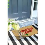 Monnhein Whats Up Kapı Önü Paspası Dekoratif Kapı Paspası Dış Mekân Paspas Ev İçi Paspası 45x70cm