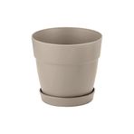 Mono Saksılar (6, Renkli, 0,11L (6cm))