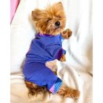Monogram Purp Köpek Tulum Pijama