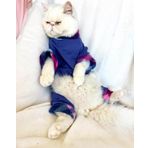 Monogram Purp Polar Kedi Tulum Pijama XL