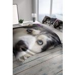 Monohome Husky 3D Renkli Çift Kişilik 200x220 cm Nevresim Takımı