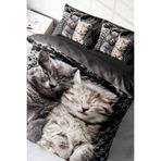 MonoHome Uyuyan Kedi Desenli 5D Dijital Baskı Pamuk Saten Nevresim Takımı – Çift Kişilik