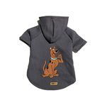 monopetz Kapişonlu Polar Sweatshirt Köpek ve Kedi Kıyafeti & Elbisesi - Antrasit Scooby Doo XS Beden