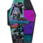 Monster High HNF82 Gizemli Arkadaşlar Oyun Seti