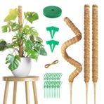 Monstera 3'lü paket 70 cm yosun çubuğu, bitki desteği, bükülebilir, Monstera için yosun çubuğu, aksesuarlı, tırmanıcı bitkiler için Monstera tırmanma yardımcısı, kendin yap tarzı yapabilir, saksı